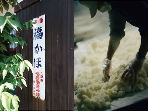 朝から洗米して、仕込みして、蔵の掃除して。