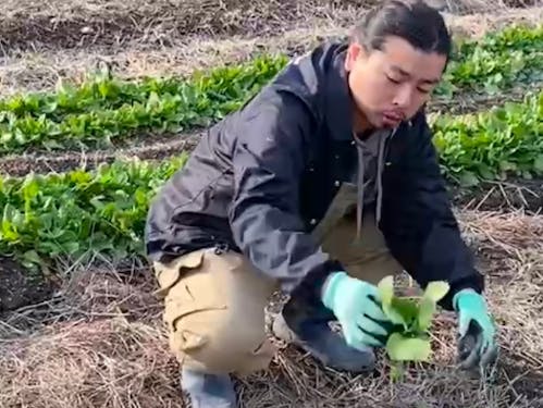 脇田さん(協力隊2年目)
