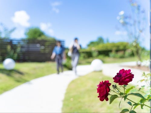 能登の自然や風景は、みんなの心を元気にしてくれます