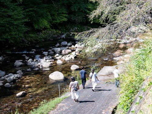 綺麗な川もフィールドです