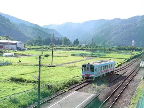まちを抜け、清流を眺め、深い緑の渓谷の中を人々の想いを乗せて走る樽見鉄道あり。
