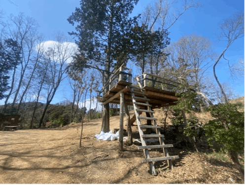 青い鳥の谷のアスレチック