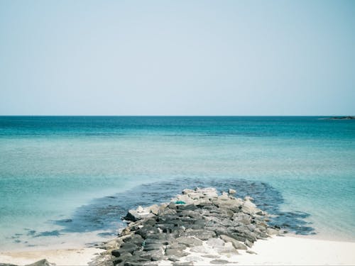 透き通った海、夏は海水浴・冬はサーフィンが楽しめます