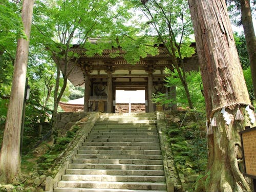 国宝第一号の本堂も有する由緒ある古刹です