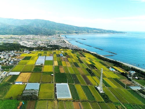 四国一小さな町で大きな挑戦!