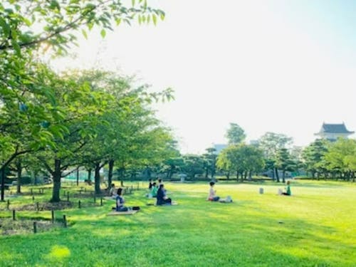 玉藻公園で朝ヨガ