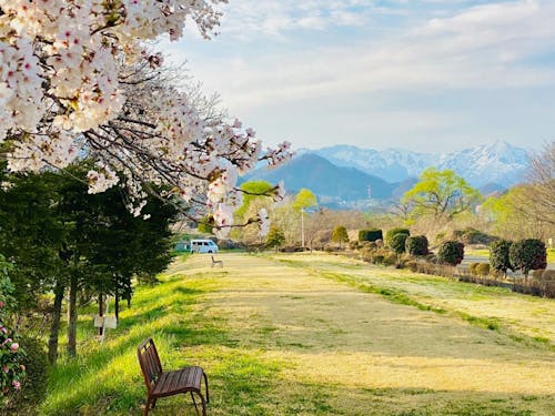 四季折々楽しめる町です!