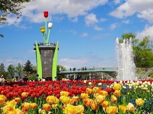 チューリップタワー