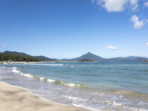 海のまち・高浜の若狭和田ビーチは、国際認証「ブルーフラッグ」をアジアで最初に取得