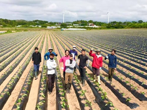 一緒に働く仲間達