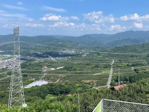 初夏の町の風景🌱
