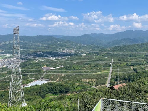 初夏の町の風景🌱