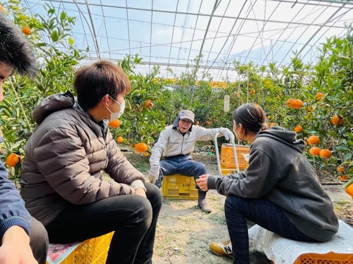 桜島という土地を愛し行動に移す