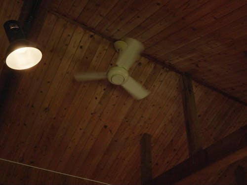 物件天井にはシーリングファンがついている。気温を一定に保つのに役立ってくれそう。