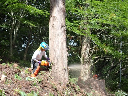 チェンソーひとつで職人技です