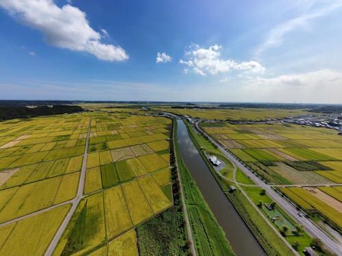 多古町の田園と栗山川
