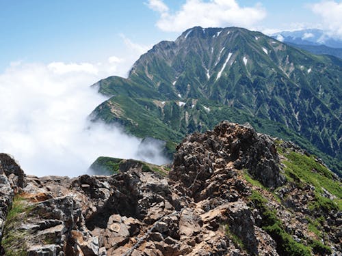 グリーンシーズン