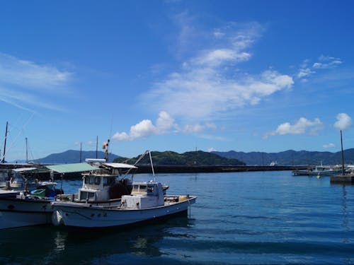 サザンセト大畠鯛釣り大会の会場は、最大10ノットを誇る日本三大潮流の「大畠瀬戸」