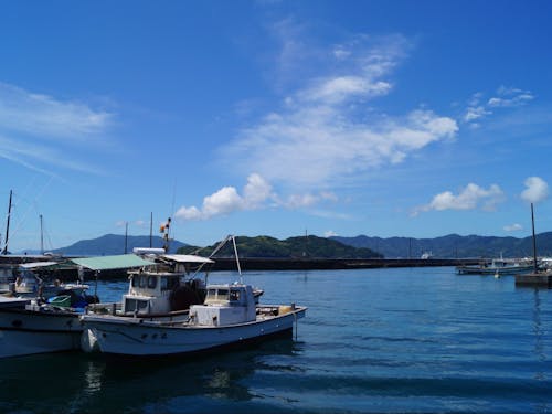 サザンセト大畠鯛釣り大会の会場は、最大10ノットを誇る日本三大潮流の「大畠瀬戸」