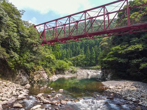 夏は清流安田川で川遊びができる最高の環境です♪