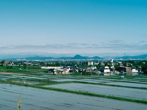 実家のある仰木の里の風景写真