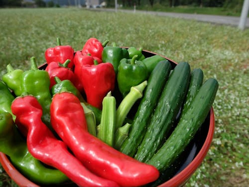 顔がわかる人たちが作った、新鮮な野菜を食べる日々