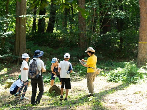伊那西小学校は8/29に見学できます！校庭にいくよりも近い学校林です🌲