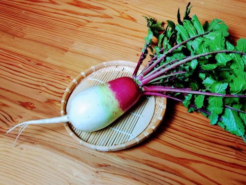 伊吹大根の辛みとよく合う