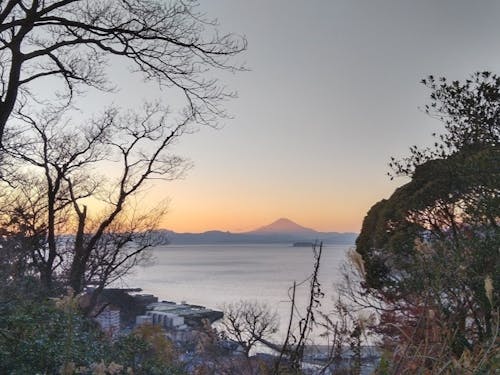 移住前に時々登っていた山も今では散歩道に