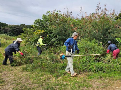 【課題解決①】ヤラブの森の環境整備