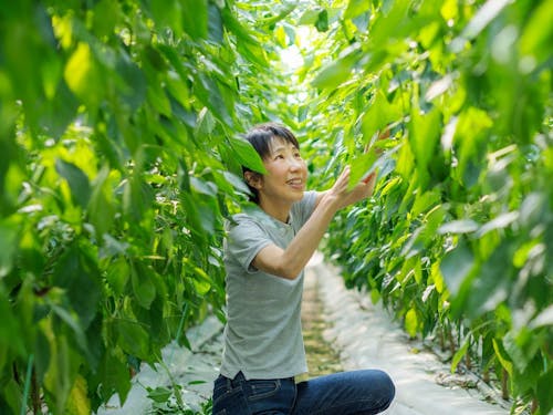 参加者の様子➀