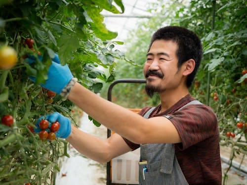 参加者の様子③