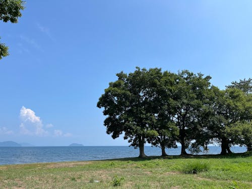 深清水周辺写真①