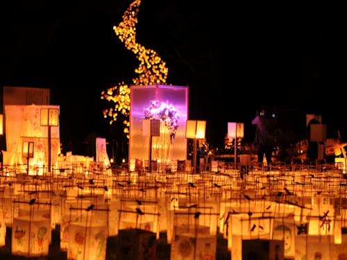 高鍋城址で開催される高鍋城灯籠まつり。数千基の灯籠が秋の夜を彩ります。