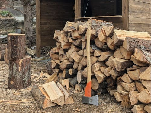 エネルギーも自給自足。アナログな暮らしの豊かさをお話しいただきます
