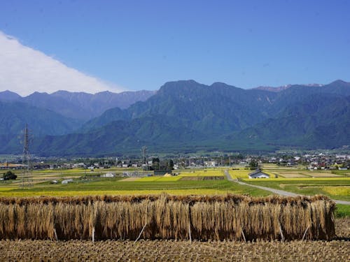 北アルプスを望む池田町の９月の景色