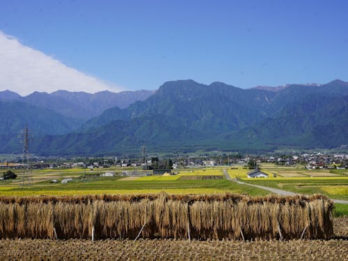 北アルプスを望む池田町の9月の景色