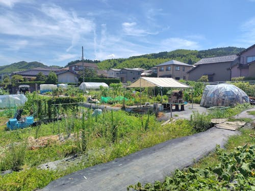 地域住民とボランティアで耕す「みんなの畑」
