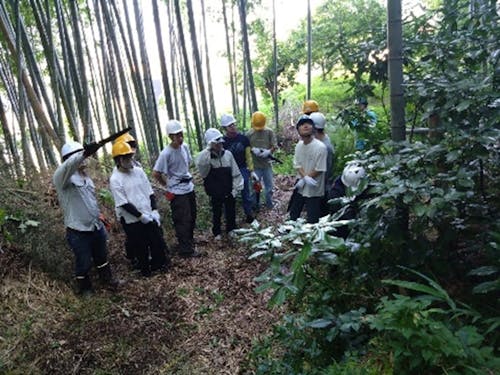 学生と協働で近隣の竹林を整備
