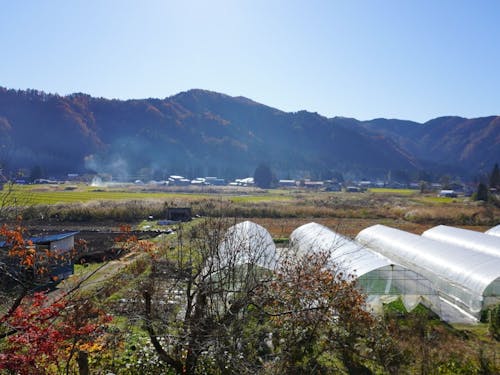 農家民宿から望む秋晴れの農村風景。この風景の中にとけこんでみませんか？