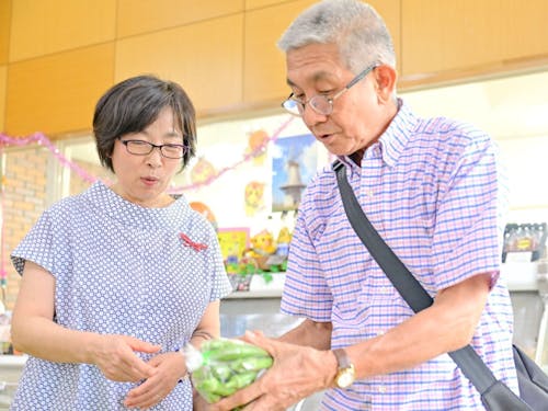 採れたての野菜は登米ならでは