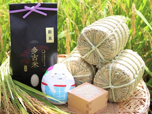 多古町のブランド米「多古米」