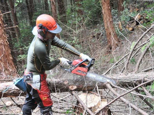 活動に必要な道具は支給します