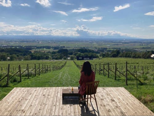 絶景テラス「MAOI SALUD」 町の丘陵地帯からの風景です!