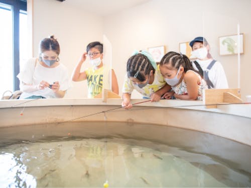 エビ釣り体験の様子