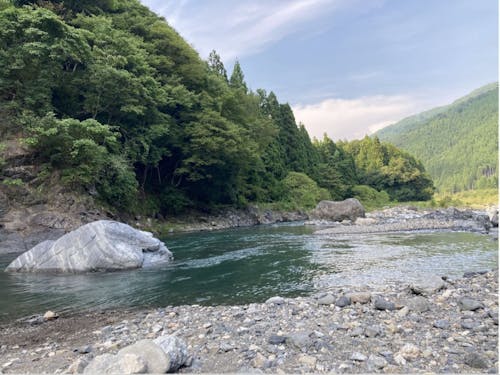 家のすぐ近くに流れる安曇川。暑い日はここに来て涼むそうです。
