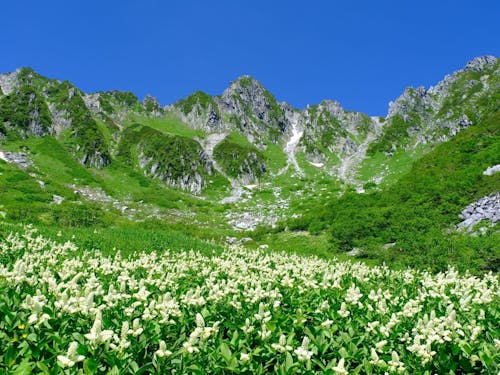 駒ヶ根と言えば千畳敷