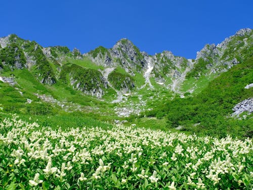 駒ヶ根と言えば千畳敷