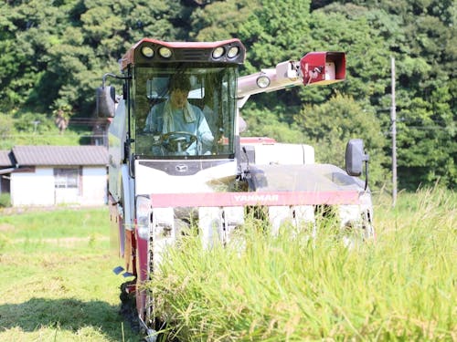 当日はコンバインでの稲刈り体験！