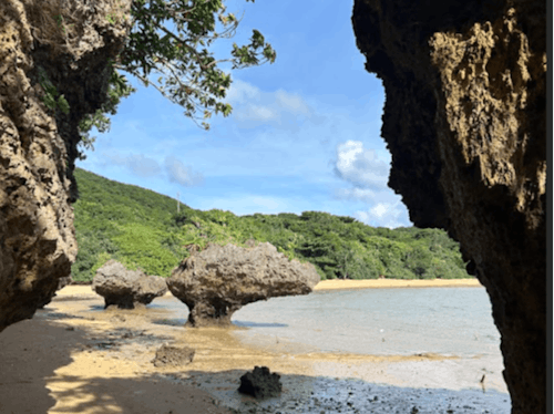 石垣の日常風景